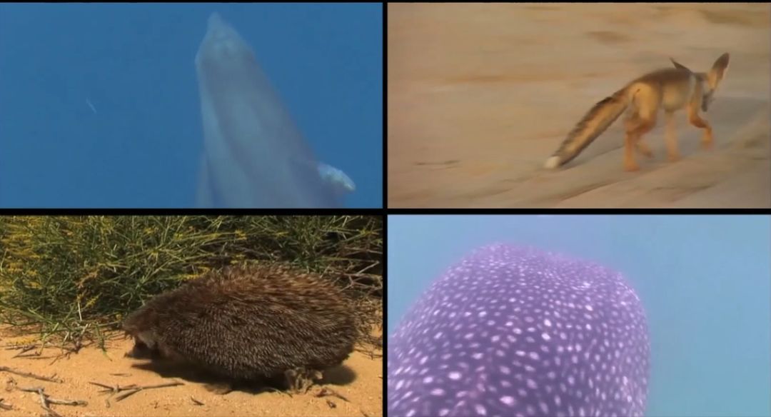 首页| J9集团国际站官方网站