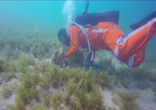 首页| J9集团国际站官方网站