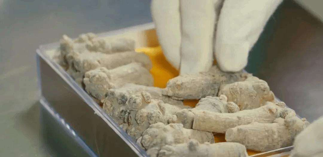 首页| J9集团国际站官方网站