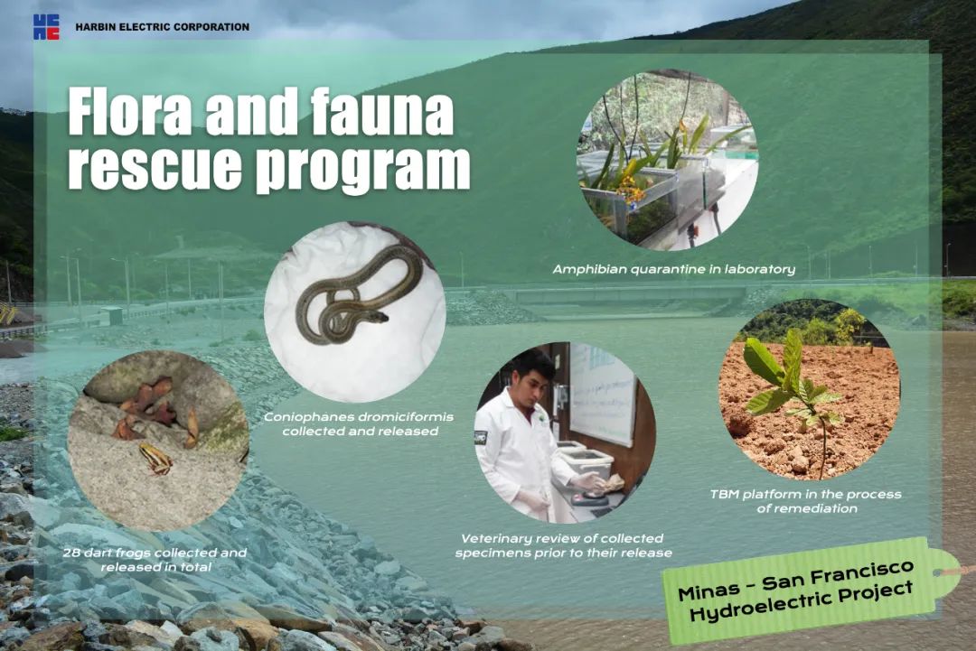 首页| J9集团国际站官方网站