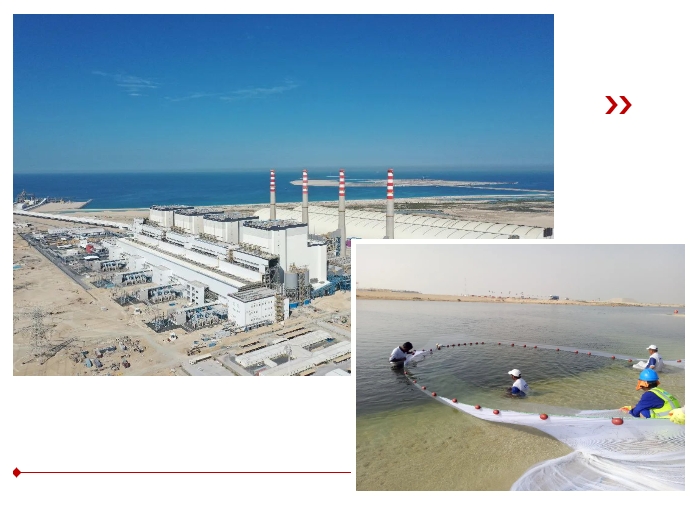 首页| J9集团国际站官方网站