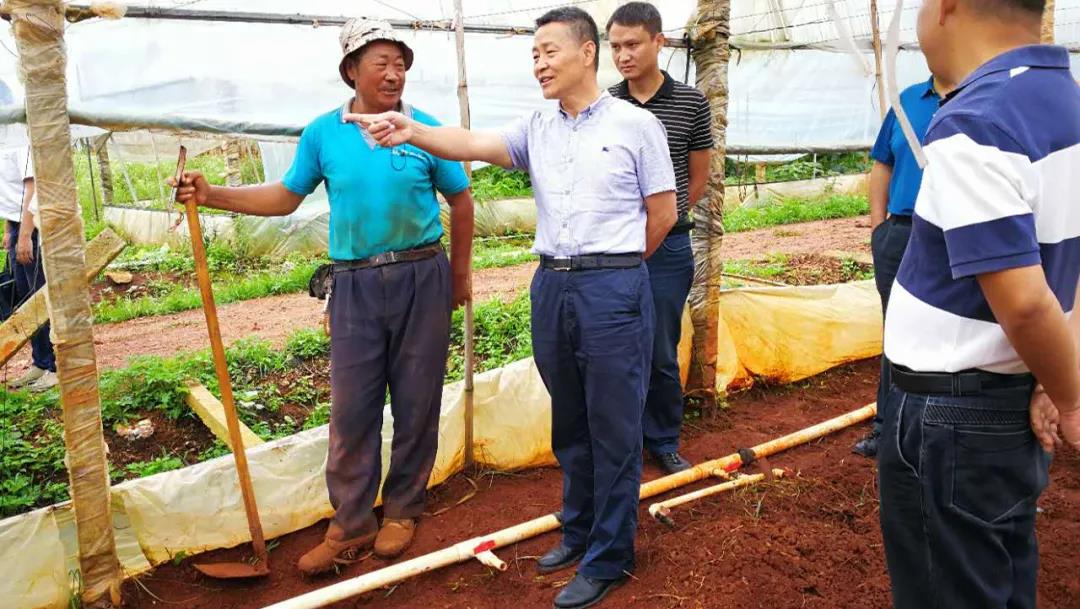 首页| J9集团国际站官方网站