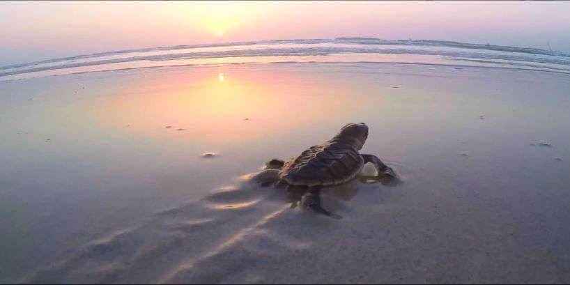 首页| J9集团国际站官方网站