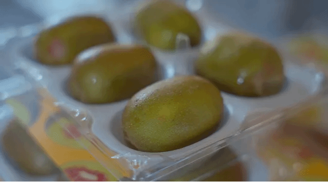 首页| J9集团国际站官方网站