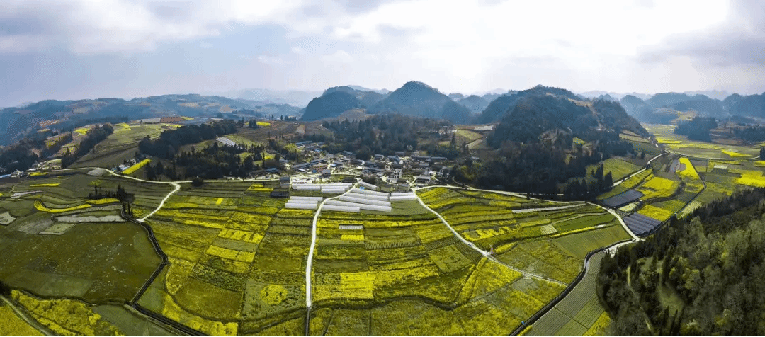 首页| J9集团国际站官方网站