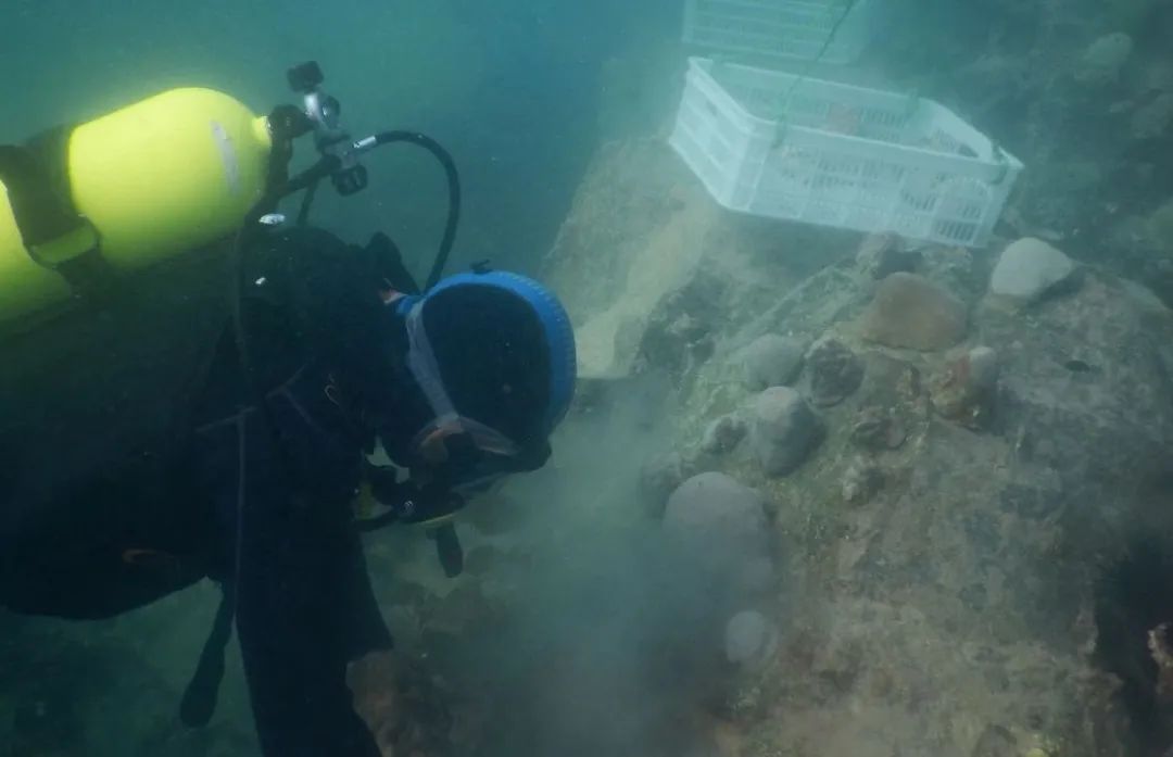 首页| J9集团国际站官方网站