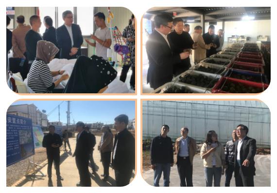 首页| J9集团国际站官方网站