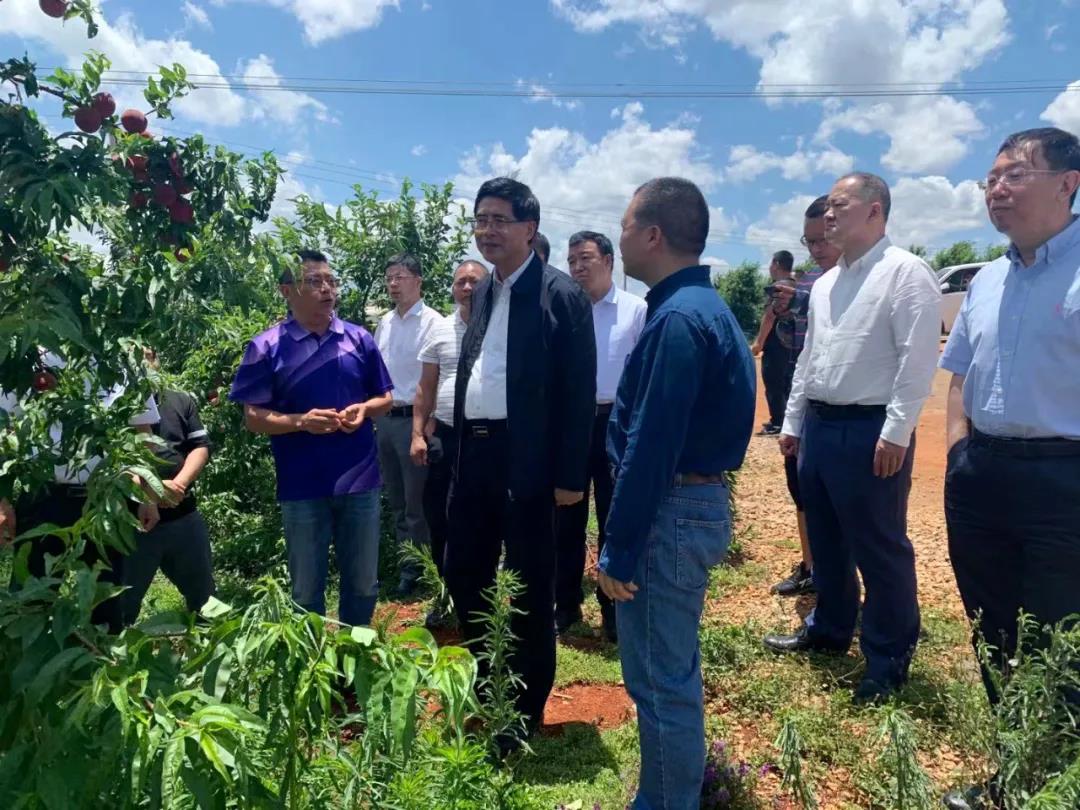 首页| J9集团国际站官方网站