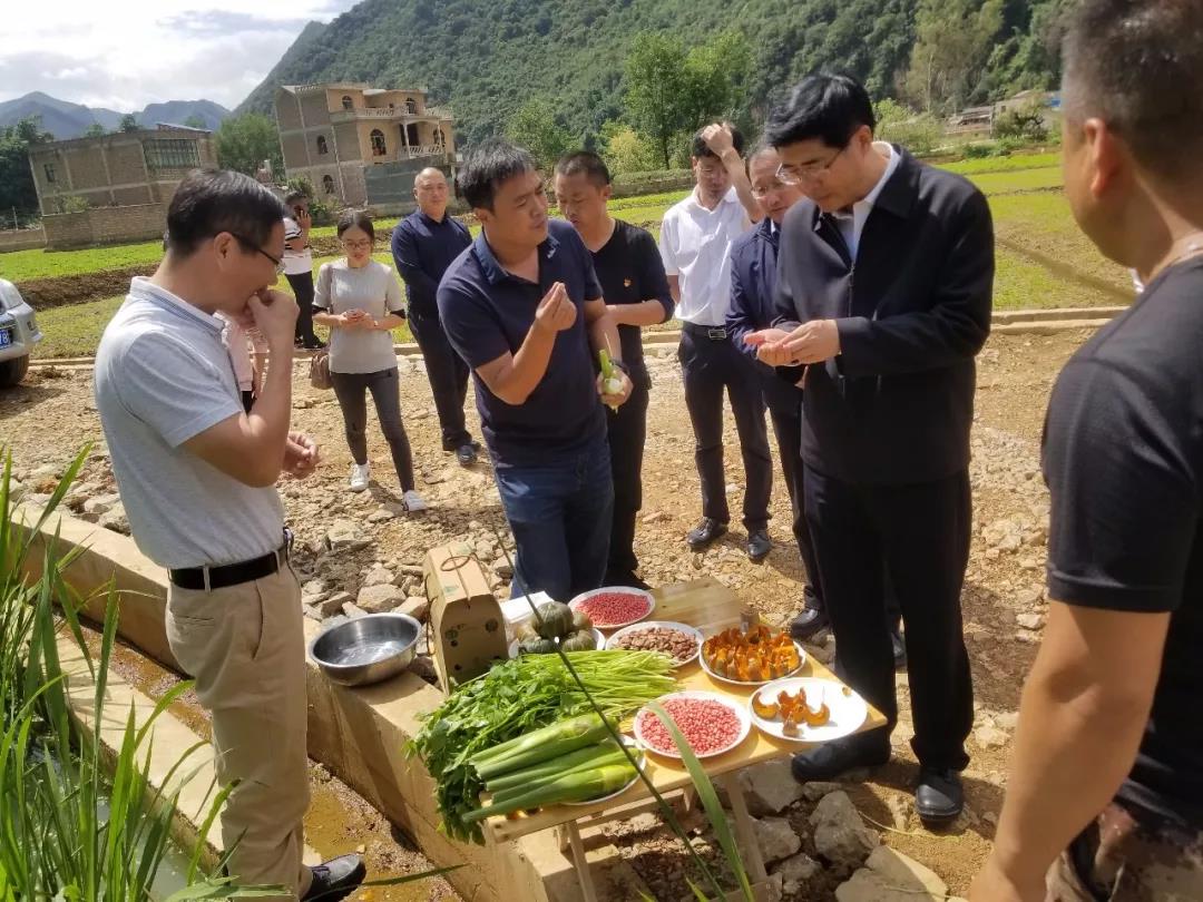 首页| J9集团国际站官方网站