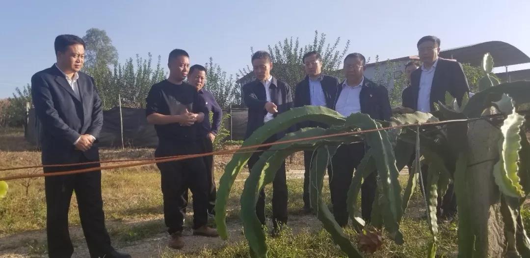 首页| J9集团国际站官方网站