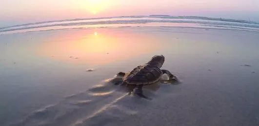 首页| J9集团国际站官方网站