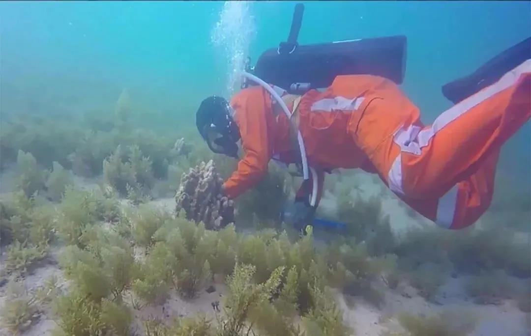 首页| J9集团国际站官方网站